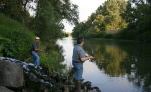 Angeln Landau3 300x183