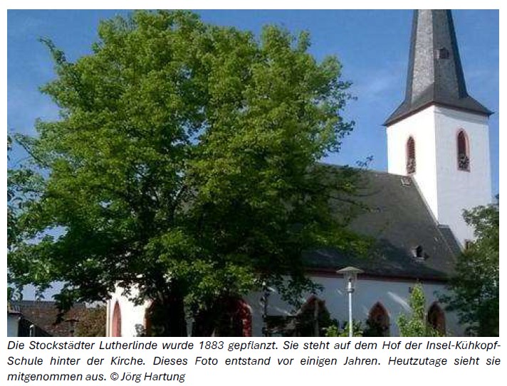 Museum Online lutherlinde stockstadt